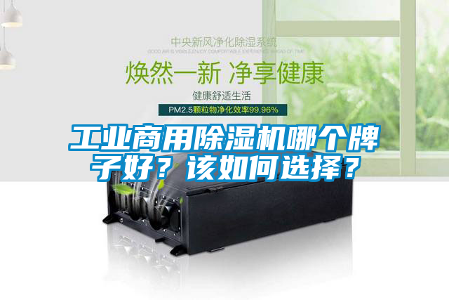 工業(yè)商用除濕機哪個牌子好？該如何選擇？