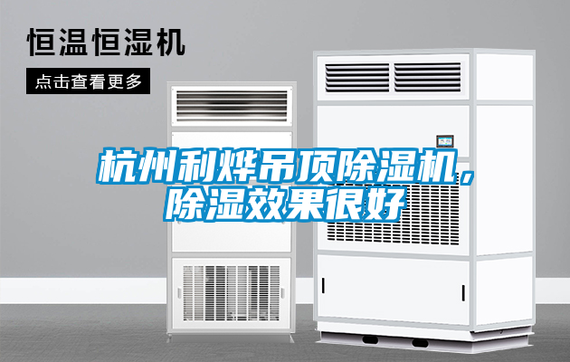 杭州利燁吊頂除濕機，除濕效果很好