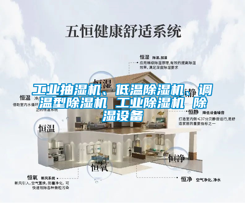 工業(yè)抽濕機(jī)、低溫除濕機(jī)、調(diào)溫型除濕機(jī) 工業(yè)除濕機(jī) 除濕設(shè)備