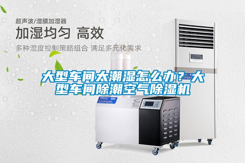 大型車間太潮濕怎么辦？大型車間除潮空氣除濕機