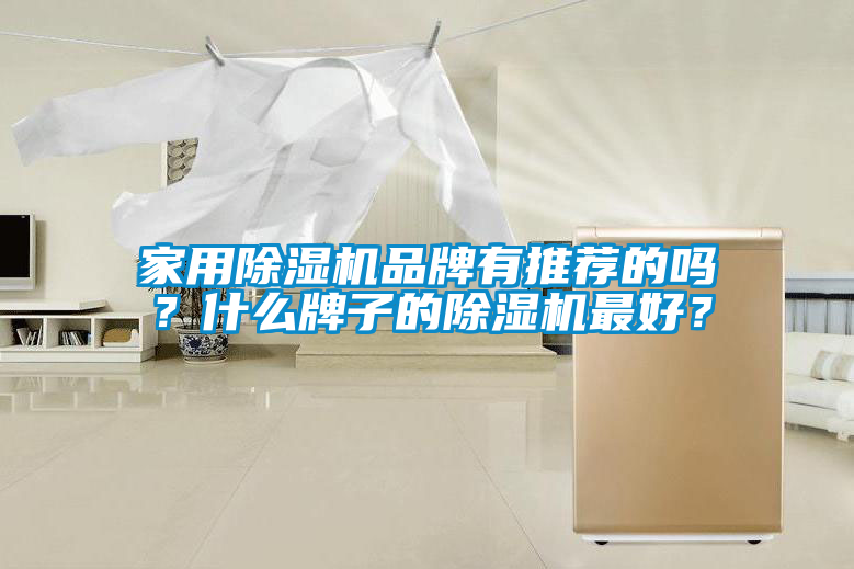家用除濕機(jī)品牌有推薦的嗎？什么牌子的除濕機(jī)最好？