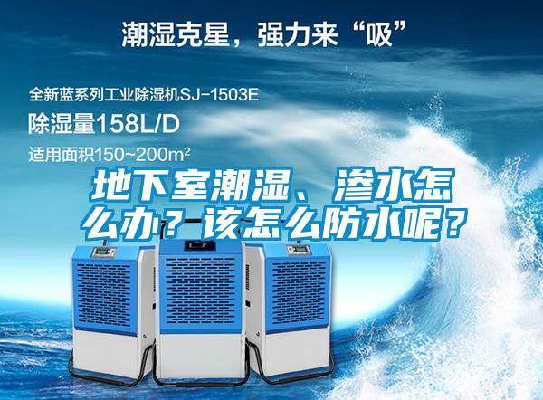 地下室潮濕、滲水怎么辦？該怎么防水呢？