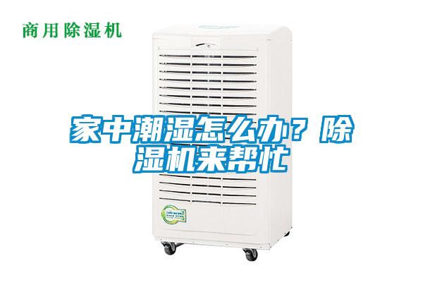 家中潮濕怎么辦？除濕機(jī)來(lái)幫忙