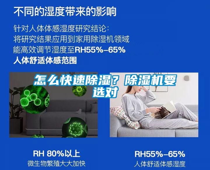 怎么快速除濕？除濕機要選對