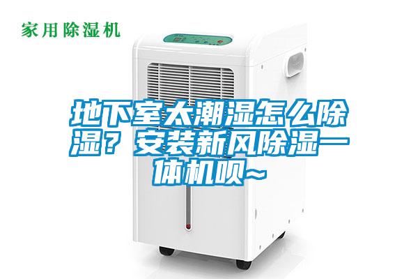 地下室太潮濕怎么除濕？安裝新風除濕一體機唄~