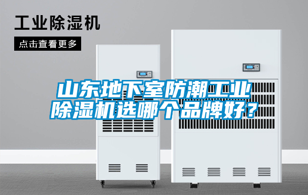 山東地下室防潮工業(yè)除濕機(jī)選哪個(gè)品牌好？