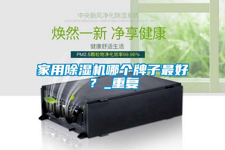 家用除濕機(jī)哪個(gè)牌子最好？_重復(fù)