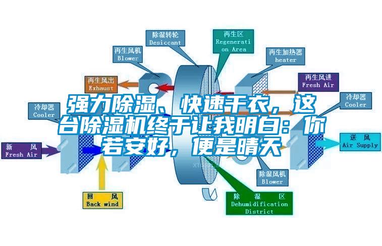 強(qiáng)力除濕、快速干衣，這臺(tái)除濕機(jī)終于讓我明白：你若安好，便是晴天