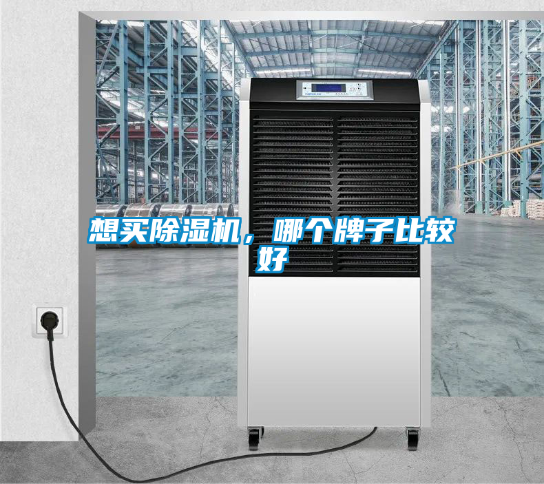 想買(mǎi)除濕機(jī)，哪個(gè)牌子比較好