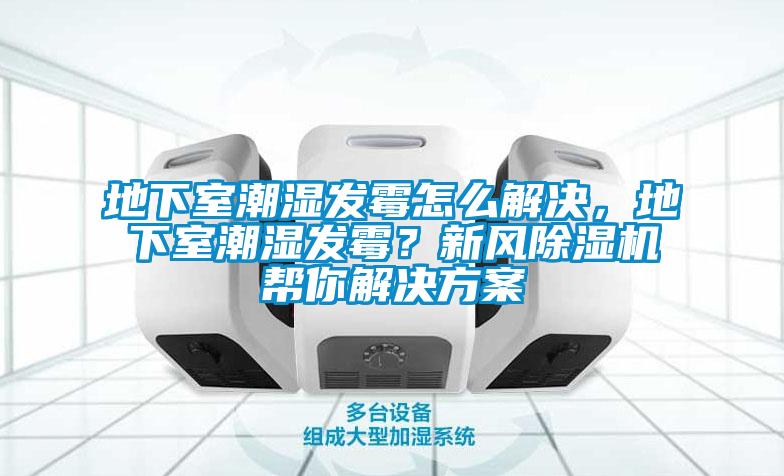 地下室潮濕發(fā)霉怎么解決，地下室潮濕發(fā)霉？新風除濕機幫你解決方案
