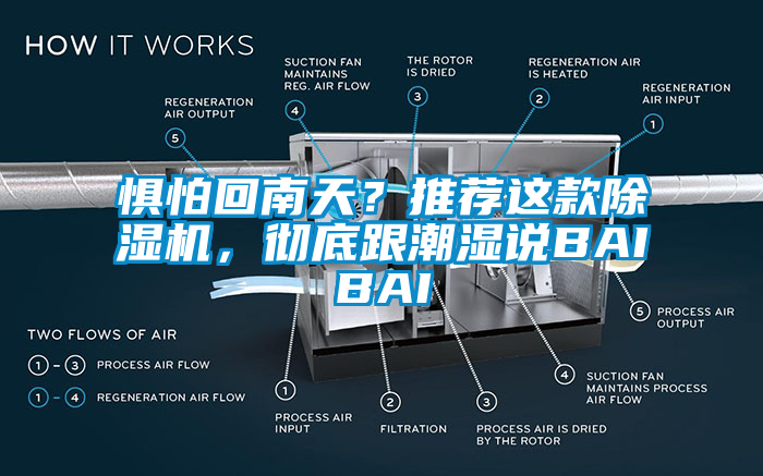 懼怕回南天？推薦這款除濕機，徹底跟潮濕說BAIBAI