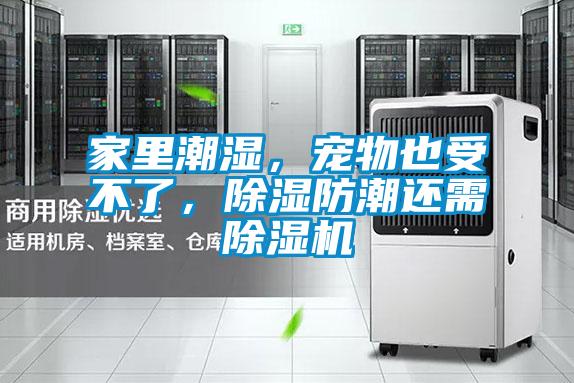 家里潮濕，寵物也受不了，除濕防潮還需除濕機(jī)