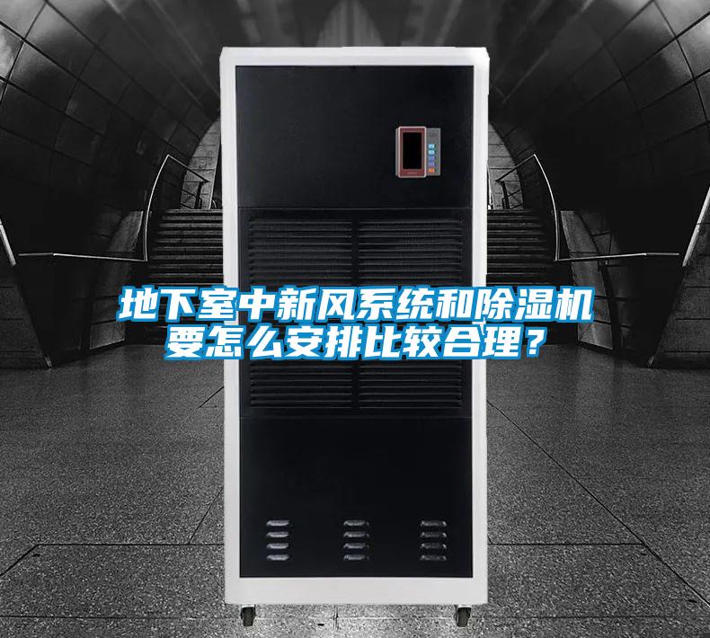 地下室中新風(fēng)系統(tǒng)和除濕機要怎么安排比較合理？