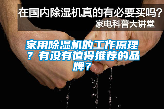 家用除濕機的工作原理？有沒有值得推薦的品牌？