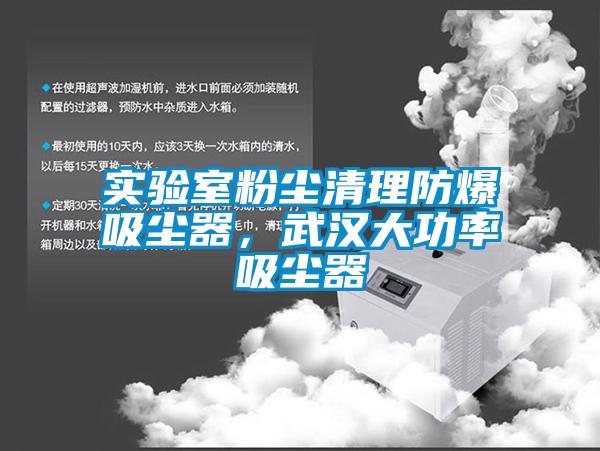 實驗室粉塵清理防爆吸塵器，武漢大功率吸塵器