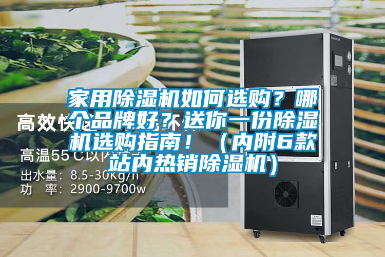 家用除濕機如何選購？哪個品牌好？送你一份除濕機選購指南?。▋?nèi)附6款站內(nèi)熱銷除濕機）
