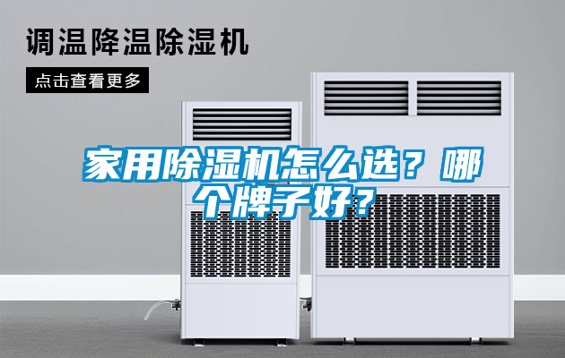 家用除濕機(jī)怎么選？哪個(gè)牌子好？