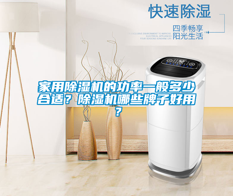 家用除濕機(jī)的功率一般多少合適？除濕機(jī)哪些牌子好用？