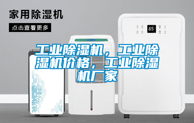工業(yè)除濕機，工業(yè)除濕機價格，工業(yè)除濕機廠家
