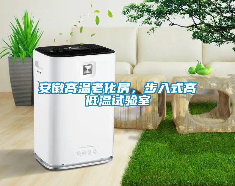 安徽高溫老化房，步入式高低溫試驗(yàn)室