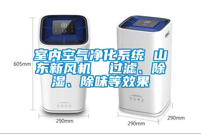 室內(nèi)空氣凈化系統(tǒng) 山東新風(fēng)機(jī)  過濾、除濕、除味等效果