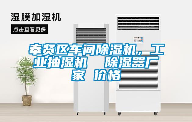 奉賢區(qū)車間除濕機(jī)，工業(yè)抽濕機(jī)  除濕器廠家 價(jià)格