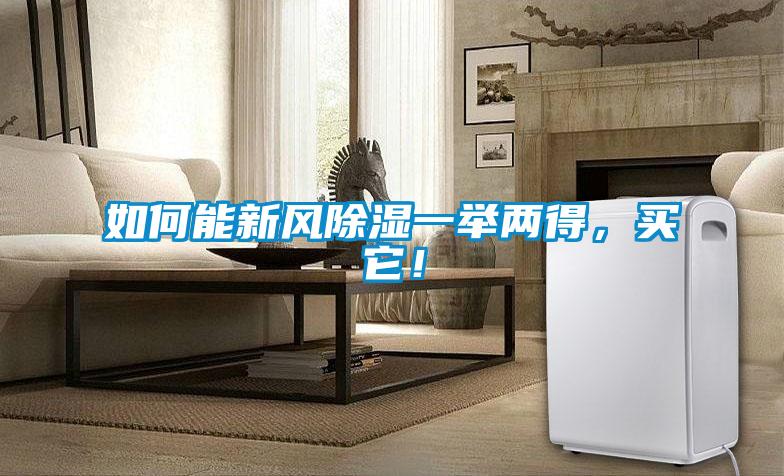 如何能新風(fēng)除濕一舉兩得，買它！