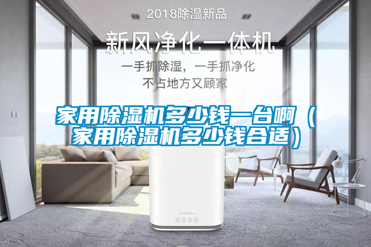 家用除濕機(jī)多少錢一臺(tái)?。矣贸凉駲C(jī)多少錢合適）