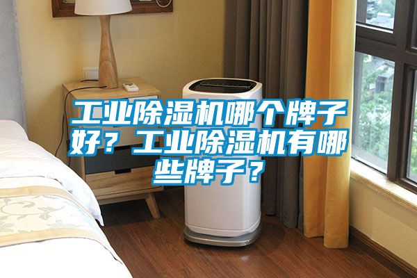 工業(yè)除濕機(jī)哪個(gè)牌子好？工業(yè)除濕機(jī)有哪些牌子？
