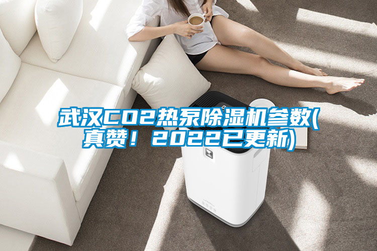 武漢CO2熱泵除濕機(jī)參數(shù)(真贊！2022已更新)