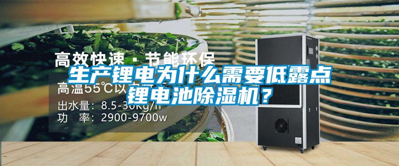 生產(chǎn)鋰電為什么需要低露點鋰電池除濕機？