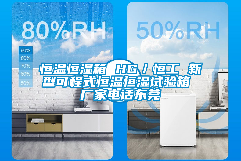 恒溫恒濕箱 HG／恒工 新型可程式恒溫恒濕試驗(yàn)箱 廠家電話(huà)東莞