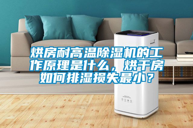 烘房耐高溫除濕機(jī)的工作原理是什么，烘干房如何排濕損失最?。?/></p>
						    <p style=