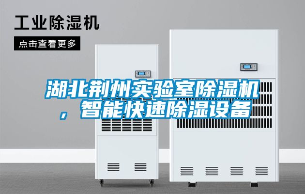 湖北荊州實驗室除濕機，智能快速除濕設(shè)備