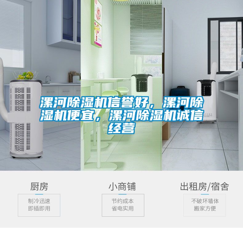 漯河除濕機信譽好，漯河除濕機便宜，漯河除濕機誠信經營