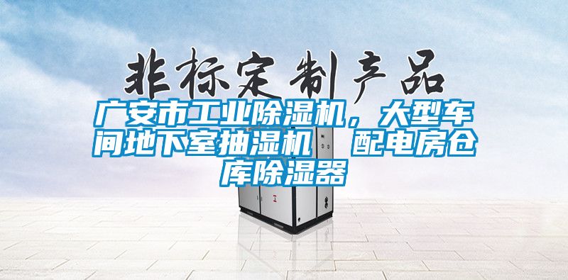廣安市工業(yè)除濕機，大型車間地下室抽濕機  配電房倉庫除濕器