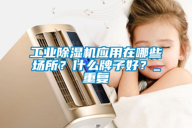工業(yè)除濕機(jī)應(yīng)用在哪些場所？什么牌子好？_重復(fù)
