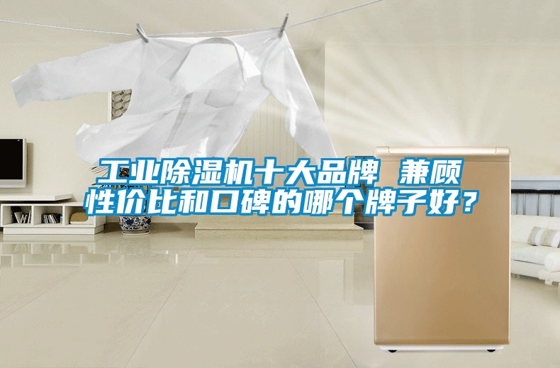 工業(yè)除濕機(jī)十大品牌 兼顧性價(jià)比和口碑的哪個(gè)牌子好？