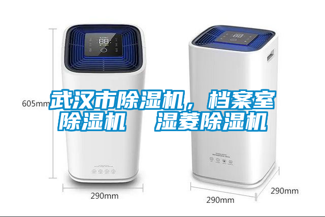武漢市除濕機(jī)，檔案室除濕機(jī)  濕菱除濕機(jī)