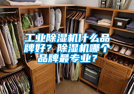 工業(yè)除濕機(jī)什么品牌好？除濕機(jī)哪個品牌最專業(yè)？