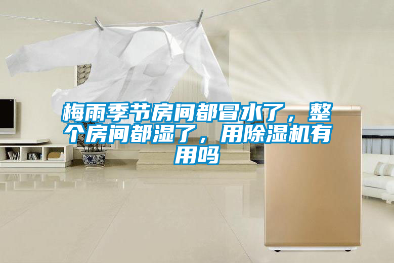 梅雨季節(jié)房間都冒水了，整個(gè)房間都濕了，用除濕機(jī)有用嗎