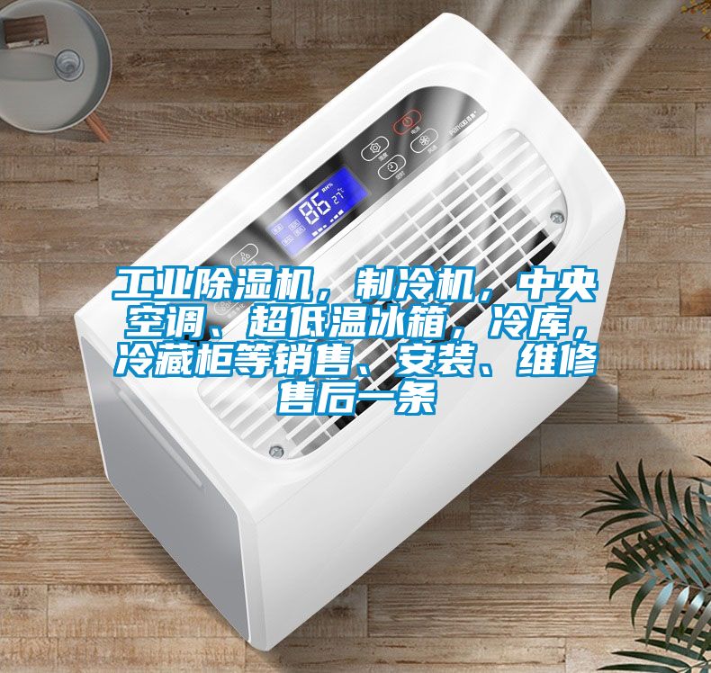 工業(yè)除濕機，制冷機，中央空調(diào)、超低溫冰箱，冷庫，冷藏柜等銷售、安裝、維修售后一條