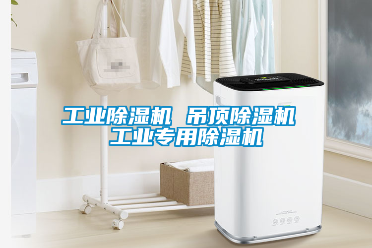工業(yè)除濕機(jī) 吊頂除濕機(jī) 工業(yè)專(zhuān)用除濕機(jī)
