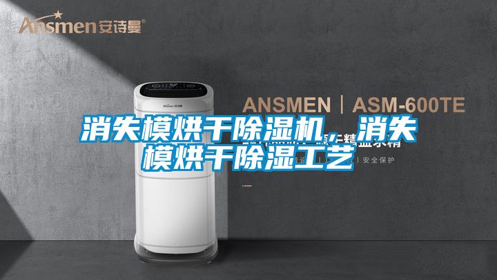 消失模烘干除濕機(jī)，消失模烘干除濕工藝