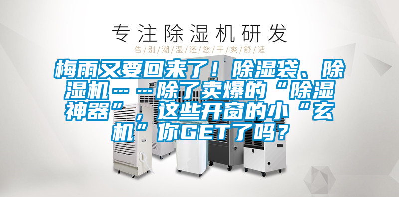 梅雨又要回來了！除濕袋、除濕機……除了賣爆的“除濕神器”，這些開窗的小“玄機”你GET了嗎？