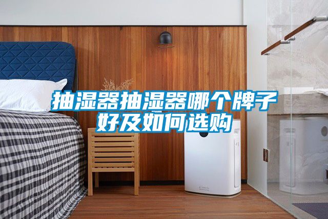 抽濕器抽濕器哪個(gè)牌子好及如何選購