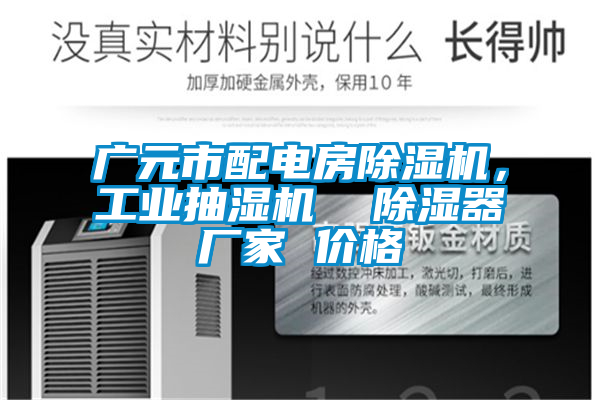 廣元市配電房除濕機，工業(yè)抽濕機  除濕器廠家 價格