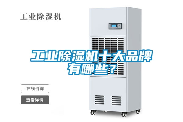 工業(yè)除濕機(jī)十大品牌有哪些？