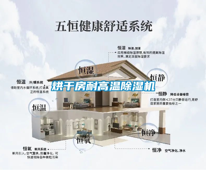 烘干房耐高溫除濕機(jī)