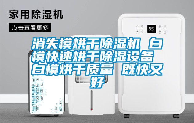 消失模烘干除濕機 白?？焖俸娓沙凉裨O備 白模烘干質量 既快又好